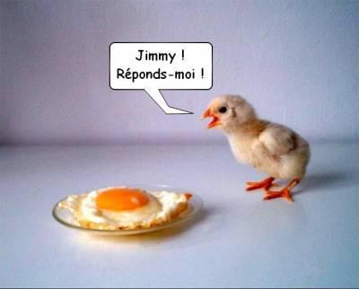 aaaaaalllllllllllllllllloooooooooooo